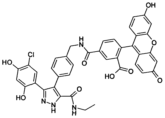 Figure imgf000051_0001