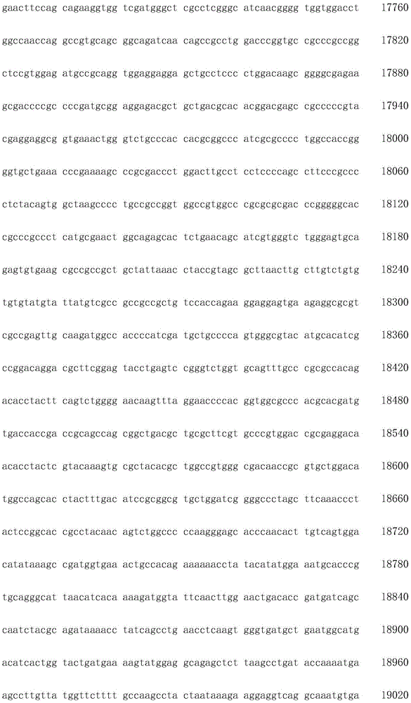 Figure IDA0002872168960000151