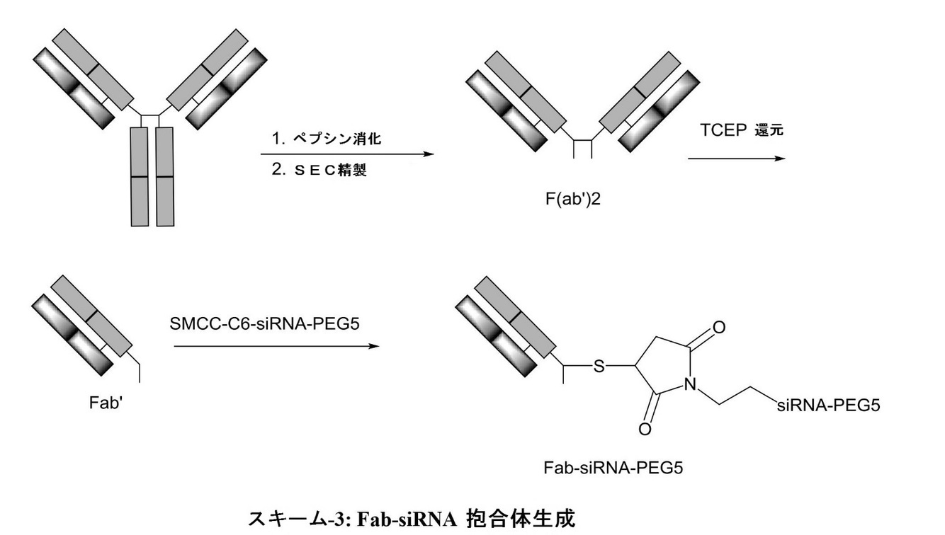 Figure 2023011614000029