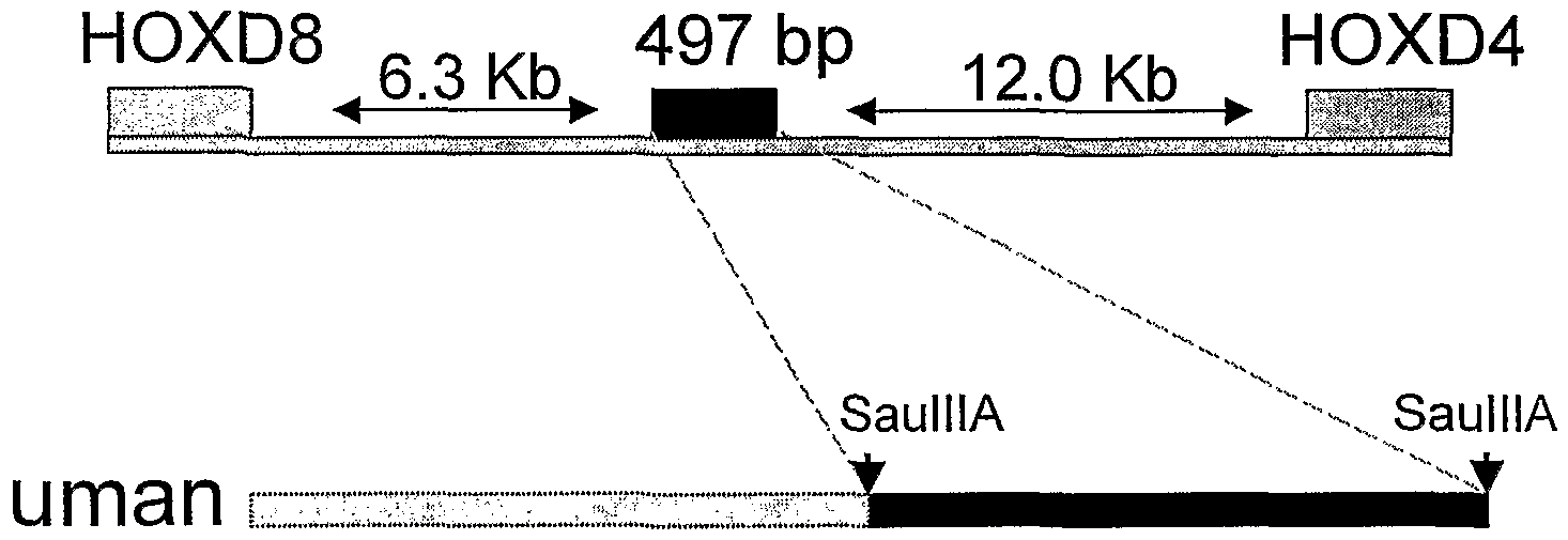 Figure imgf000175_0001
