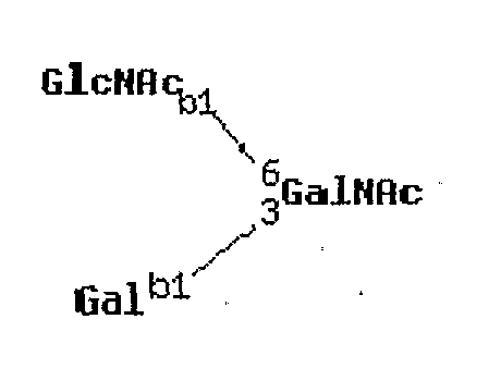 Figure imgf000191_0004