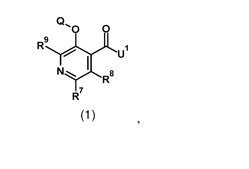 Figure imgf000262_0001