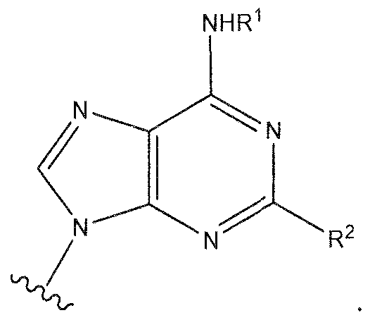 Figure imgf000005_0002