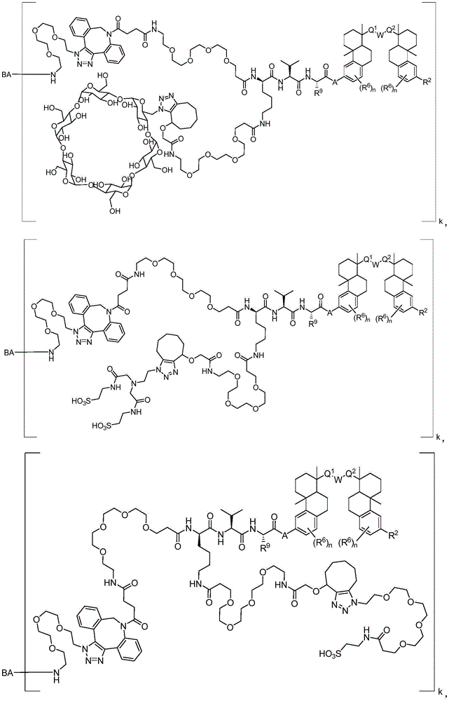 Figure BDA0003169092350001161