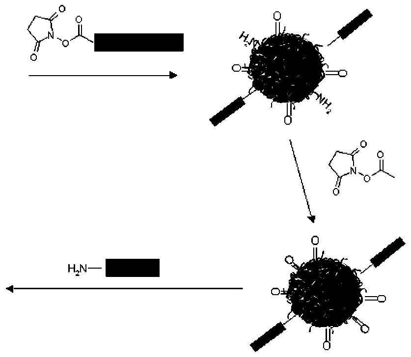 Figure imgf000148_0003