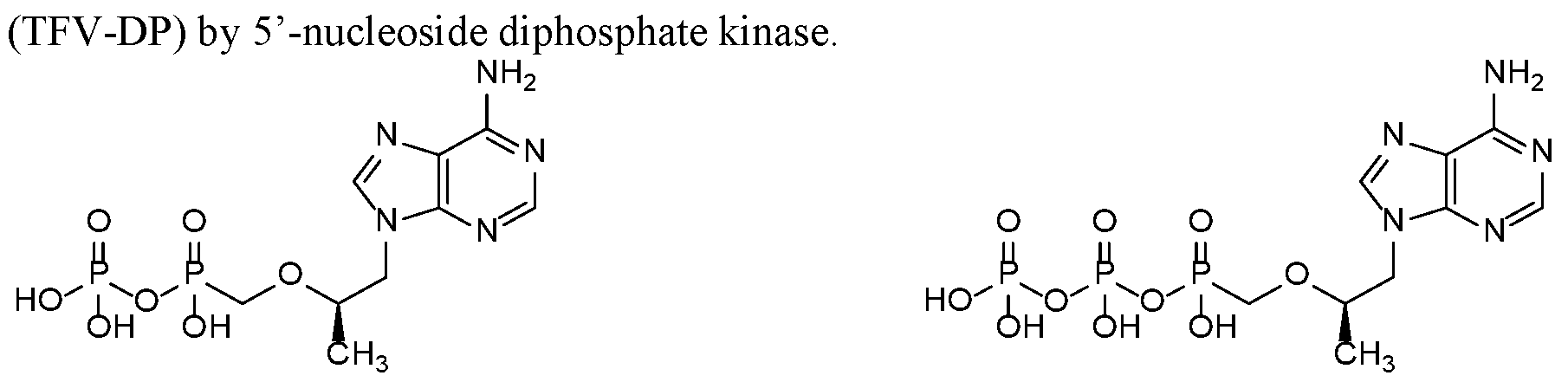 Figure imgf000003_0002