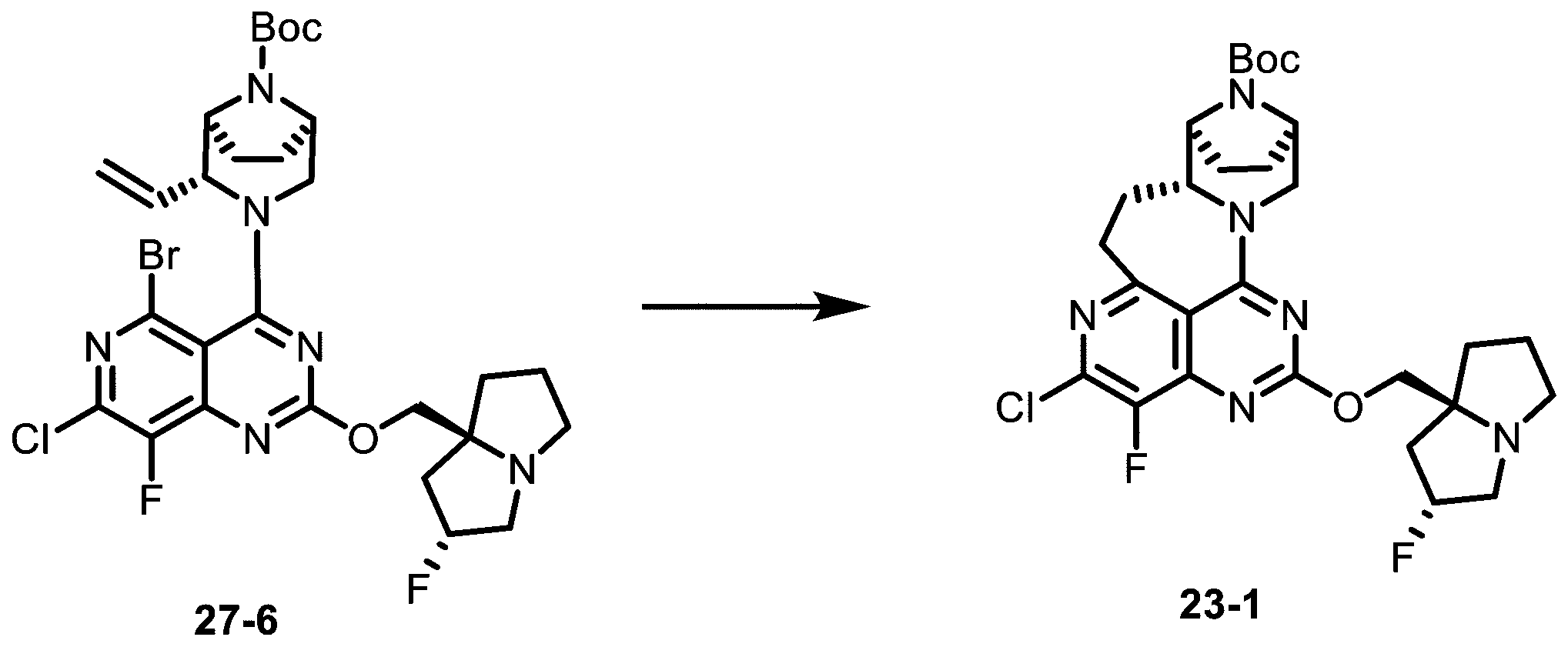 Figure 2025513258000193