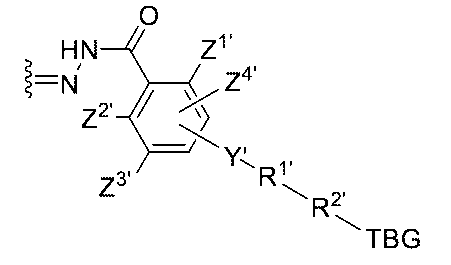 Figure 0007442821000116