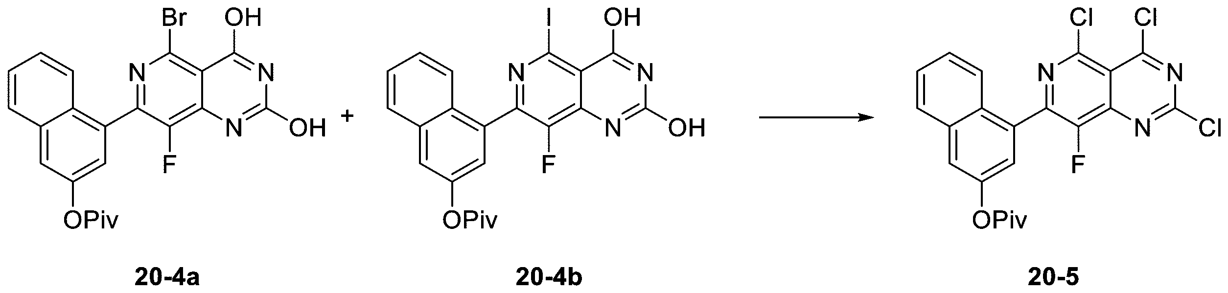Figure 2025513258000186