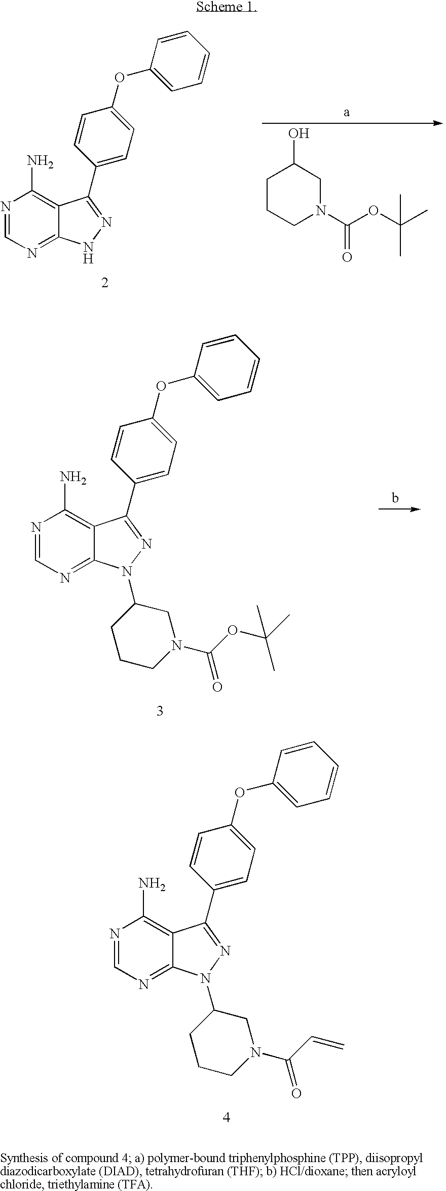Figure US20100022561A1-20100128-C00033