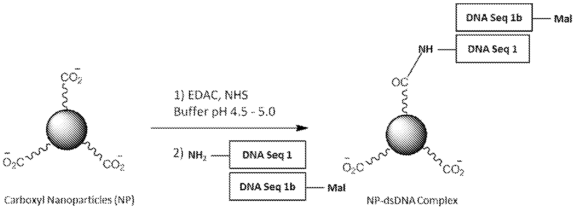Figure imgf000182_0001