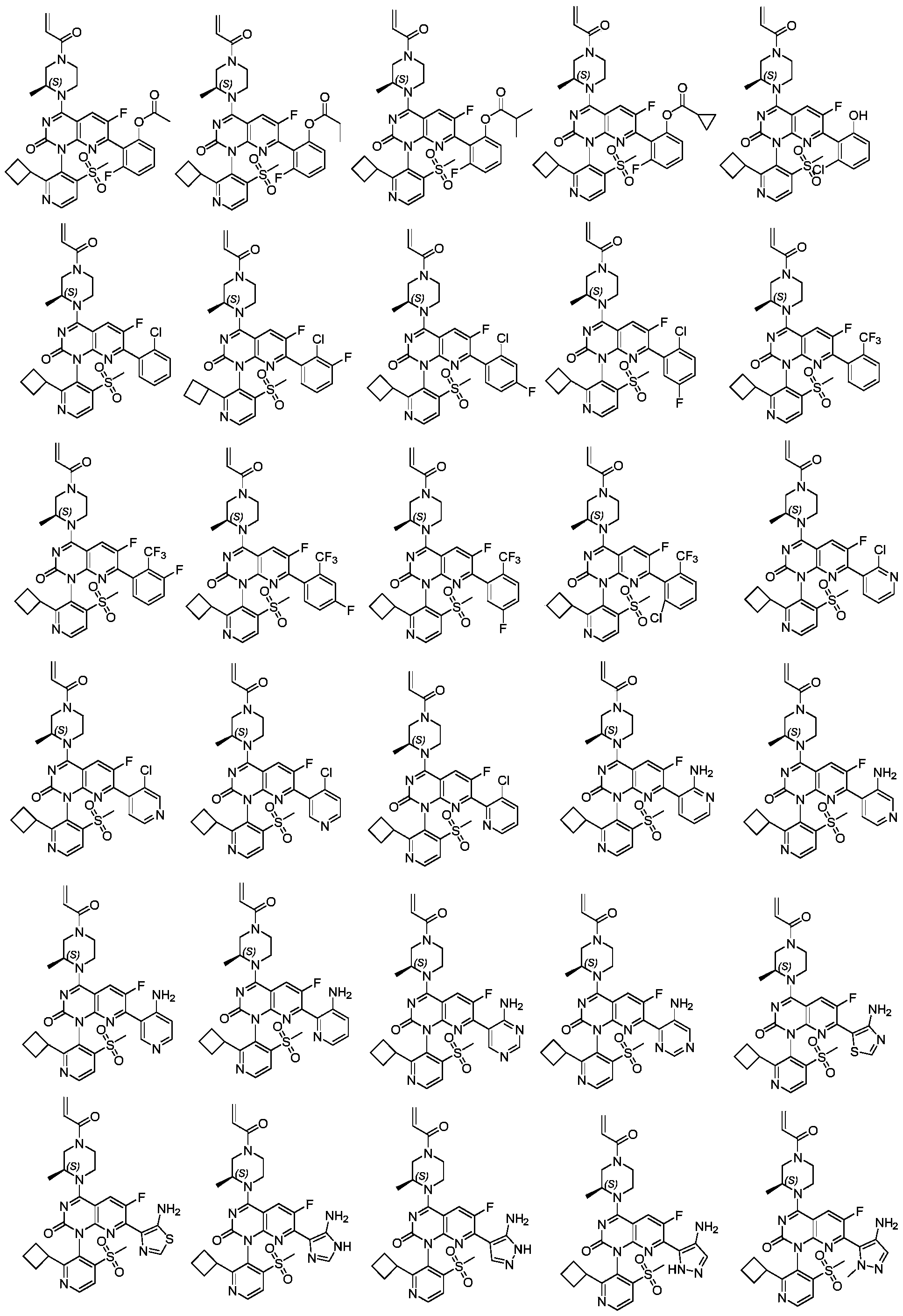 Figure PCTCN2021099875-appb-000089