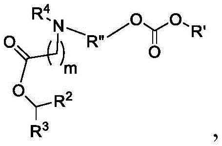 Figure BDA0003652566710001281