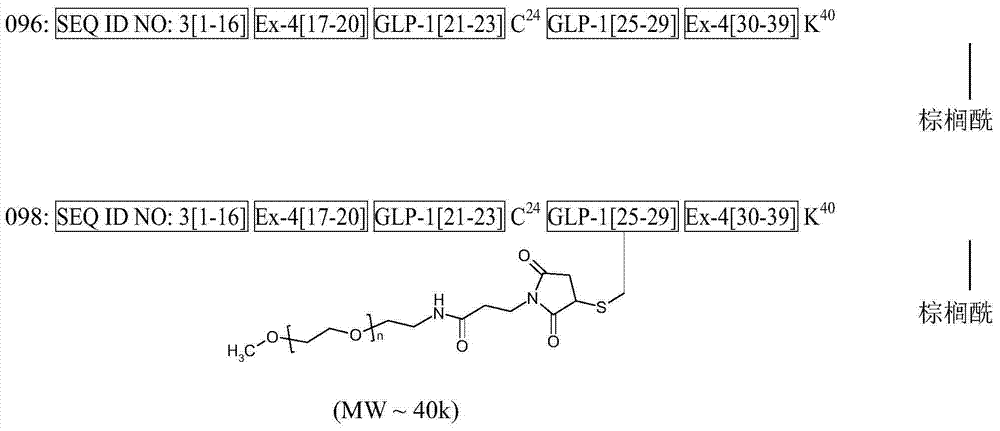Figure BDA0000432802830000311
