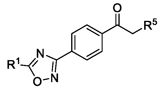 Figure imgf000012_0001