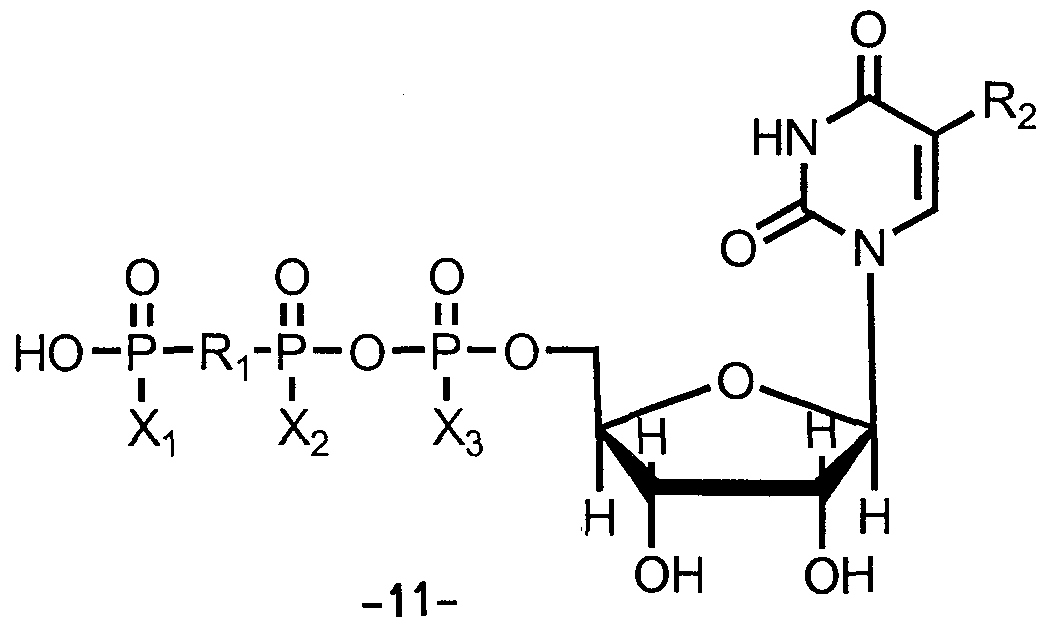 Figure imgf000013_0001