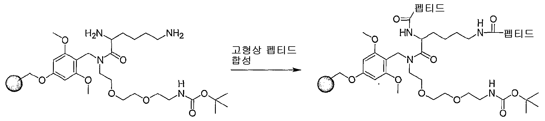 Figure 112005065158161-pct00033