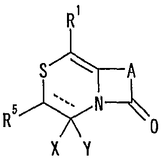 Figure imgf000344_0001