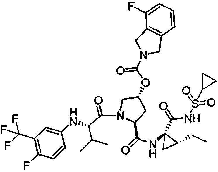 Figure 112009076339753-PCT00078