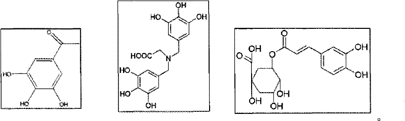 Figure BPA00001350255800021