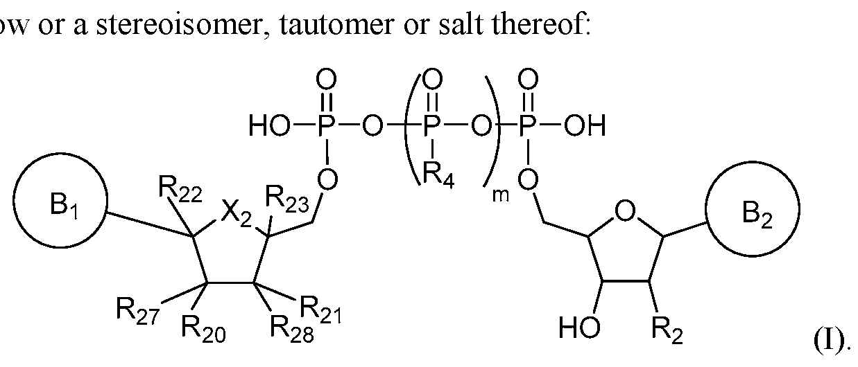 Figure imgf000008_0001
