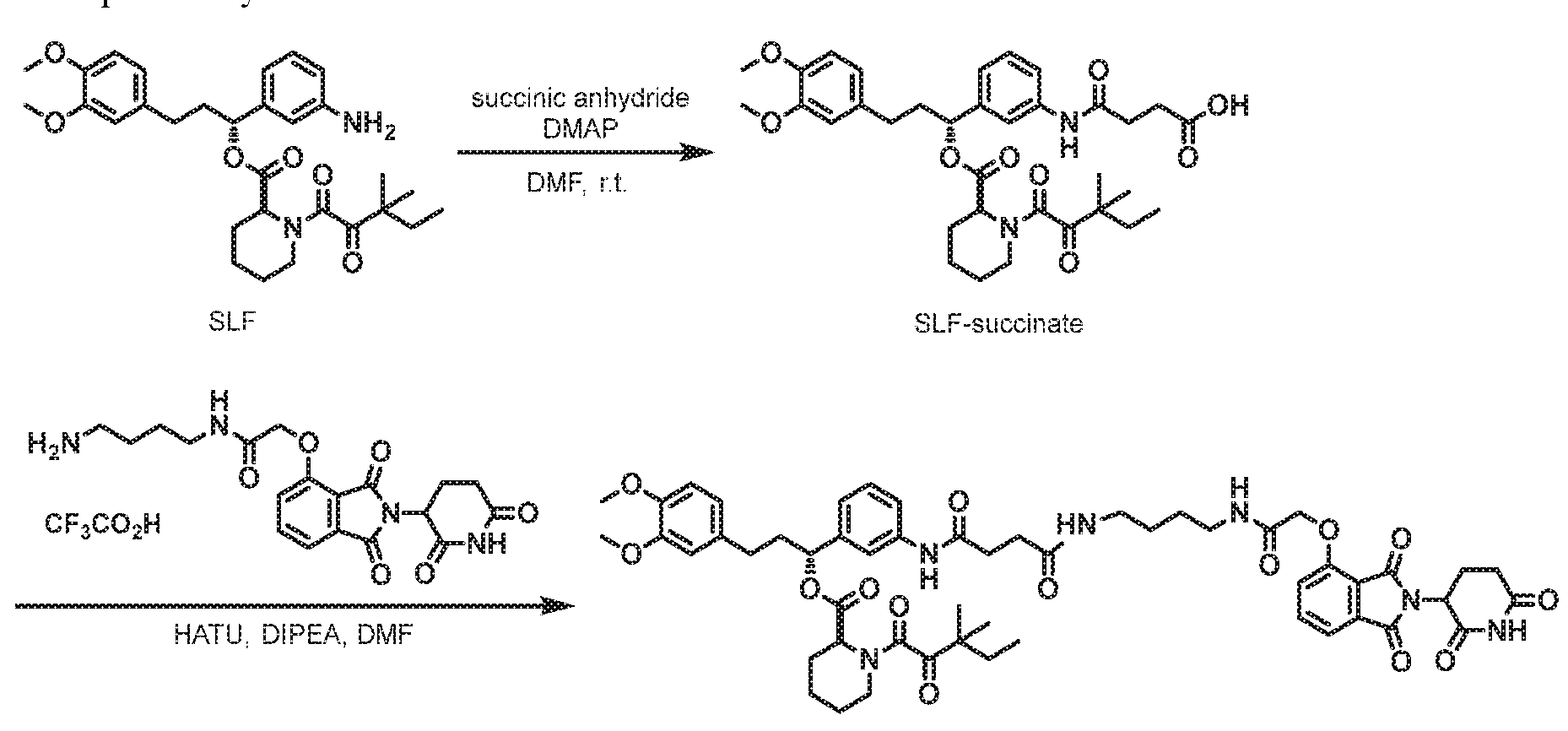 Figure imgf000296_0001