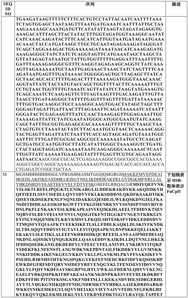 Figure BDA0002550795540001531