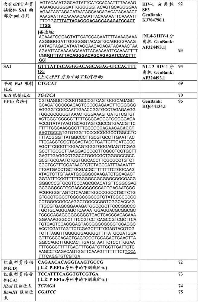 Figure BDA0003755608120001241