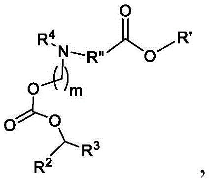 Figure BDA0003652566710001291