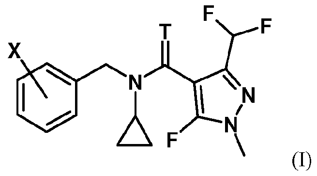 Figure imgf000003_0001