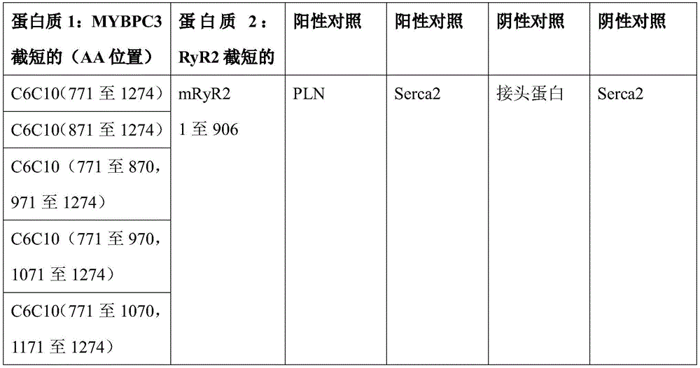Figure BDA0004042604680000661