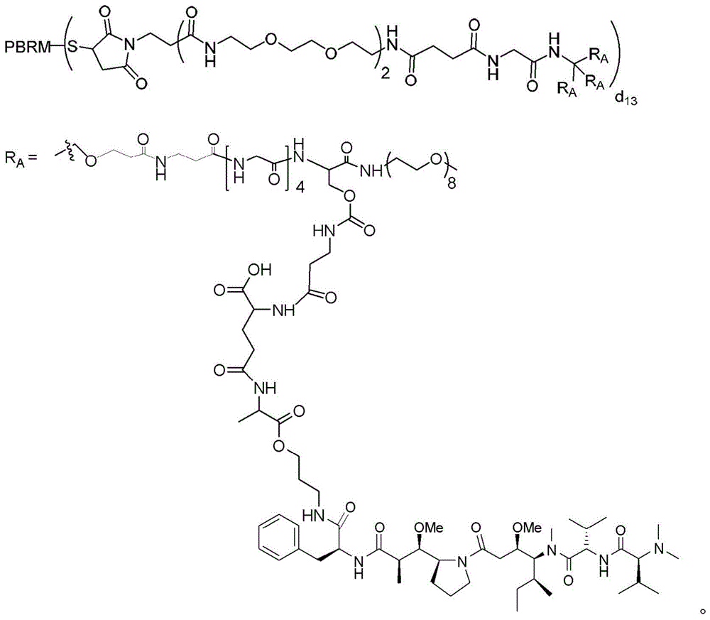 Figure BDA0003135424430002132