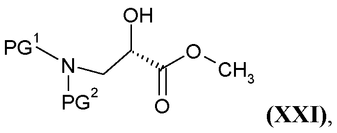 Figure imgf000031_0002