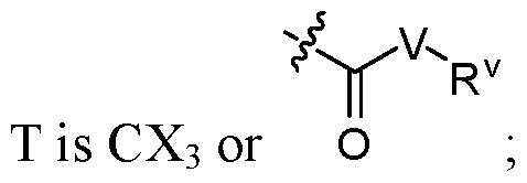 Figure imgf000004_0001
