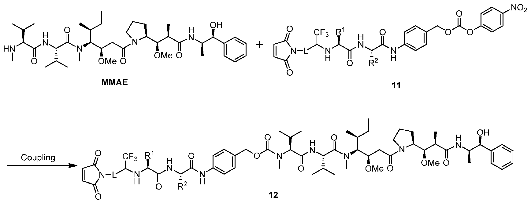 Figure imgf000028_0001
