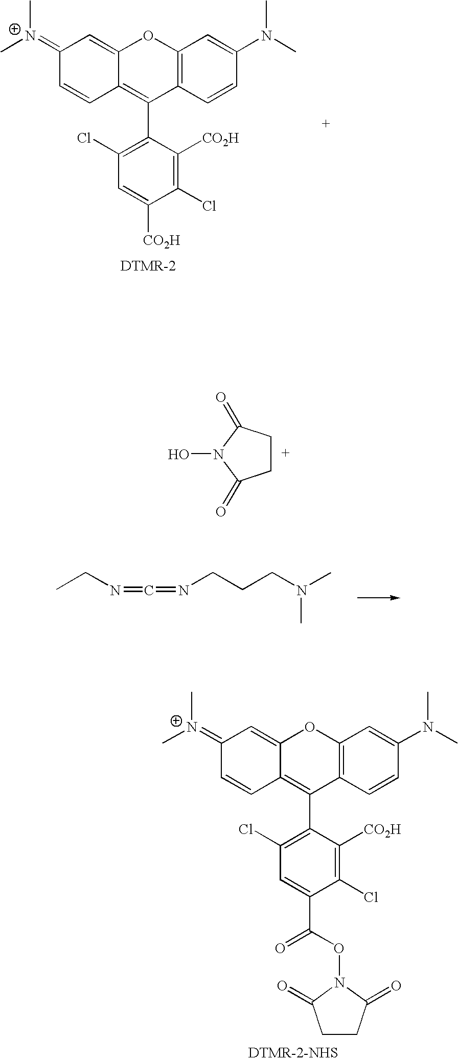 Figure US20070161027A1-20070712-C00120