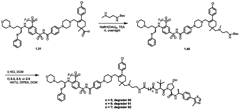 Figure BDA0003293294510001661