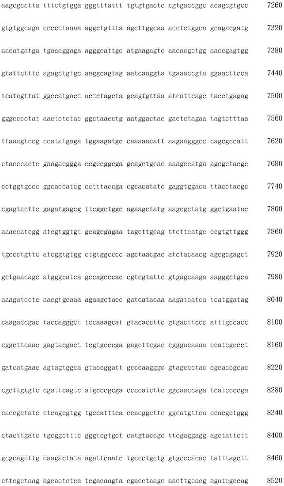 Figure IDA0002872168960002171