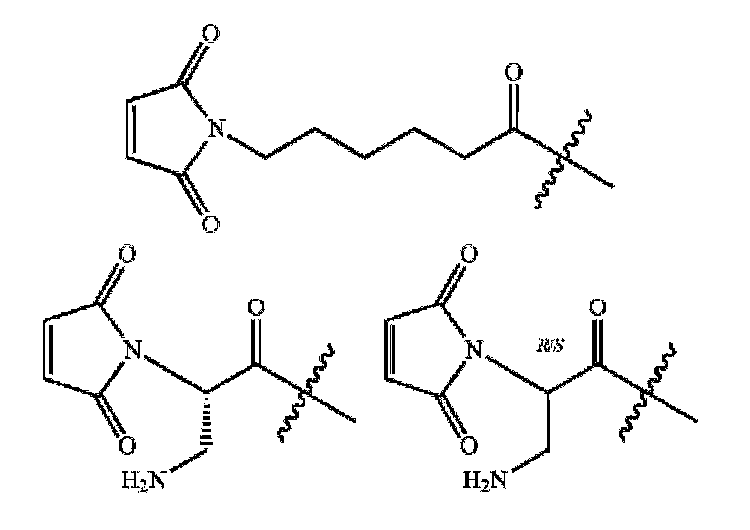 Figure 0007244987000009