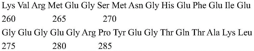 Figure GDA0004072109420000311