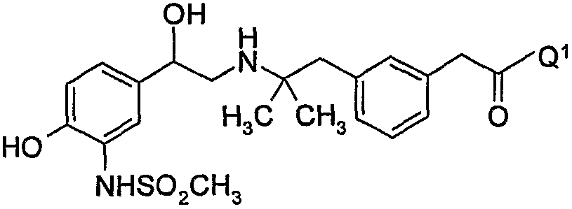 Figure 112008003947162-PCT00005