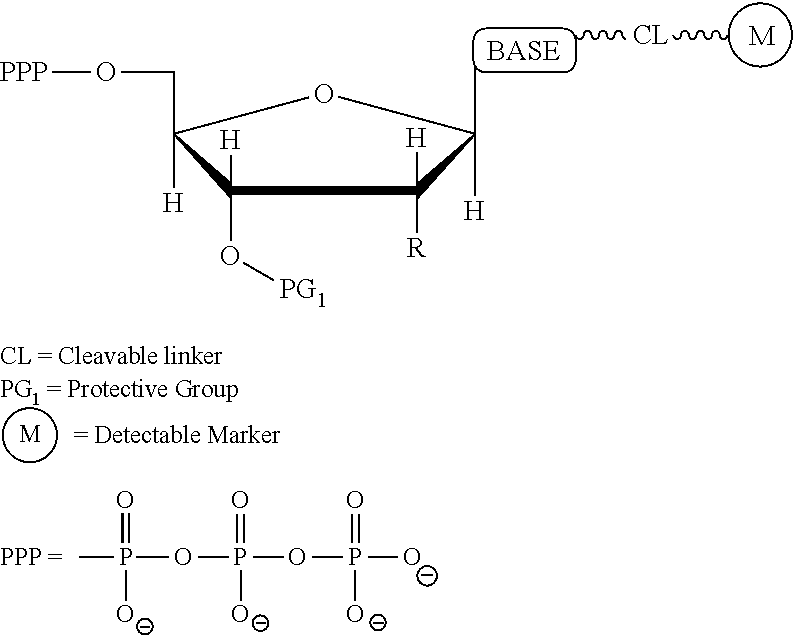 Figure US09017973-20150428-C00010