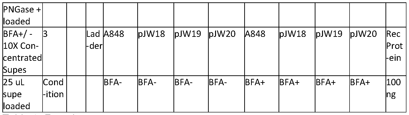 Figure imgf000081_0001