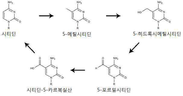 Figure 112020056955871-pat00001