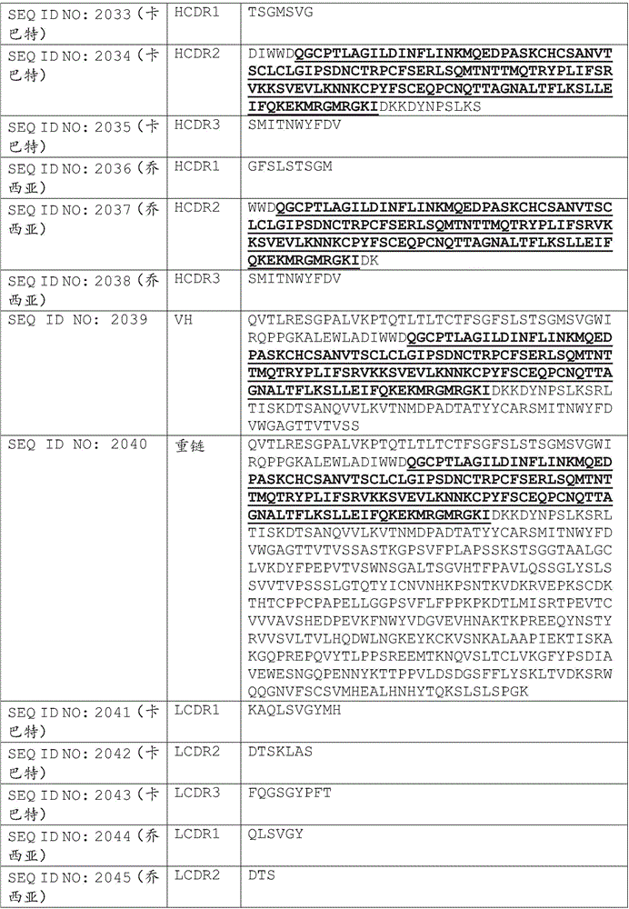 Figure BDA0002375507530002481