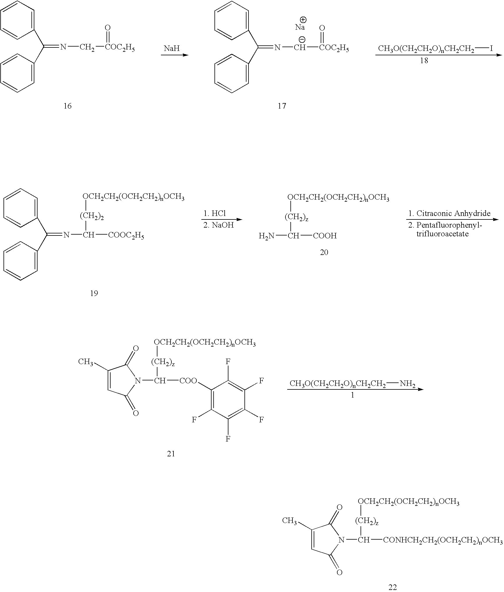 Figure US20070141021A1-20070621-C00033