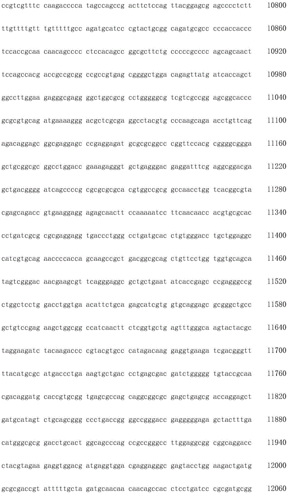 Figure IDA0002872168960001121