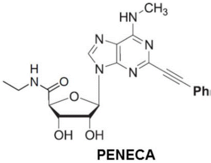 Figure BDA0003556351370000292