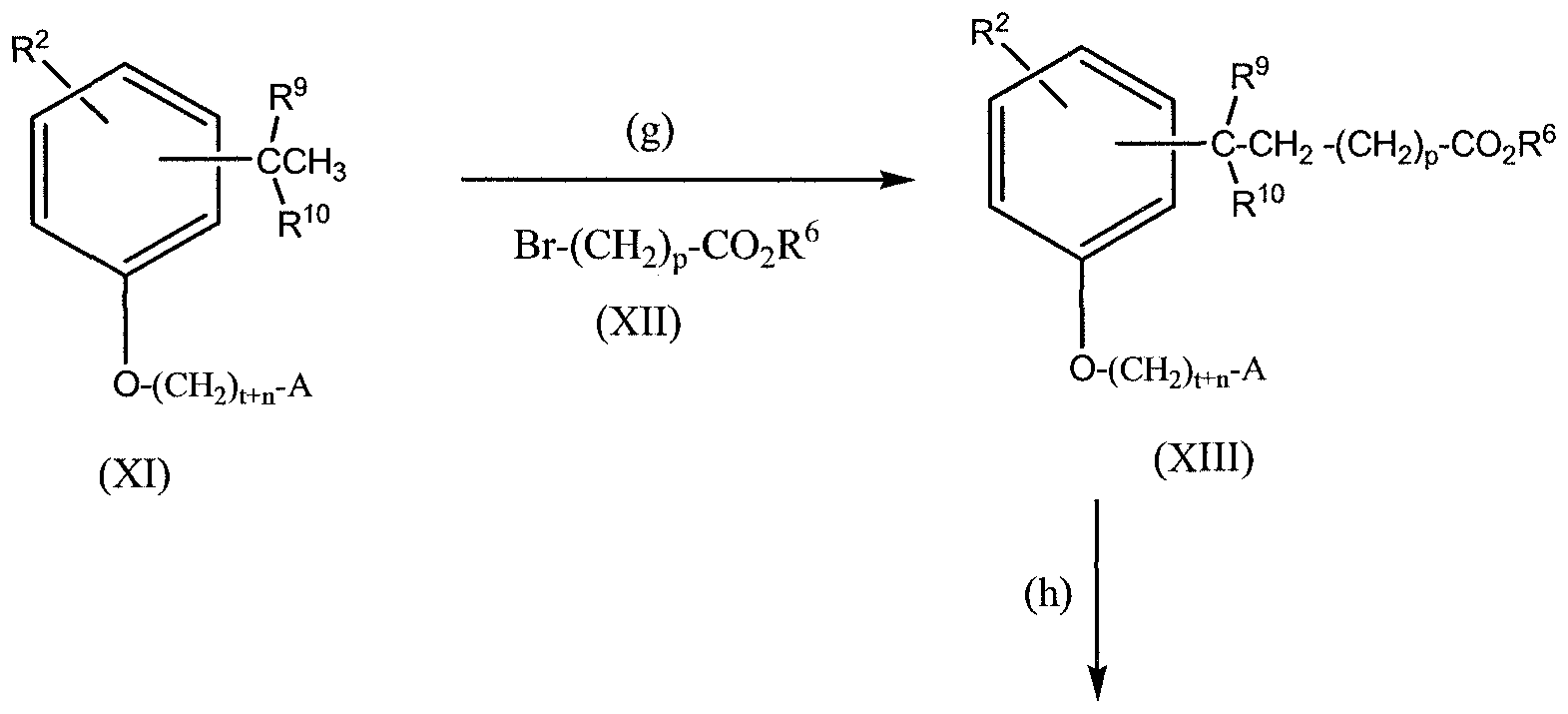 Figure imgf000014_0002