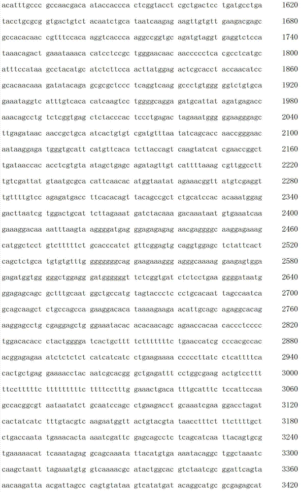 Figure IDA00003076741800311